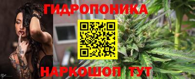 индика Кунгур