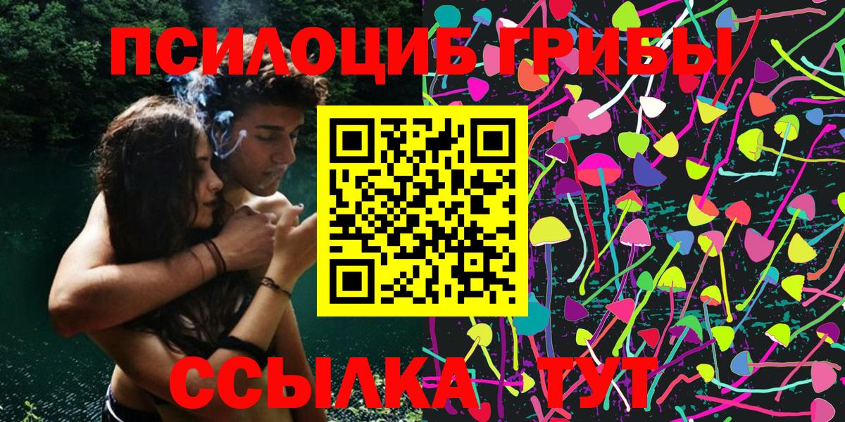 Псилоцибиновые грибы GOLDEN TEACHER Азов